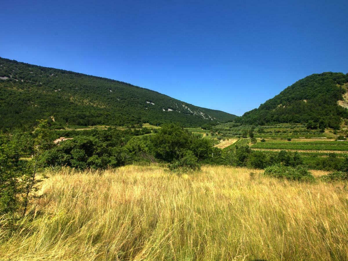 Family Apartment Rihter Črni Kal Dış mekan fotoğraf